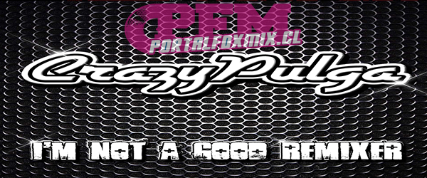 5006: CrazyPulga (2012) I’m Not A Good Remixer (14 Remix)