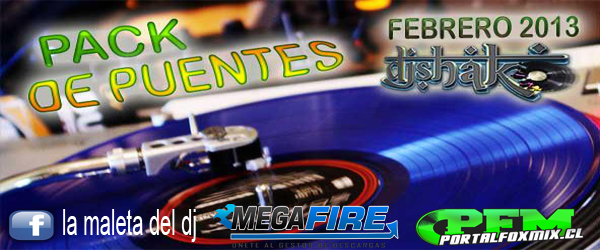 5213: Pack de Puentes 2013 compilados por DJ SHAKO (Monterrey Mexico) (28 Remix Hits)