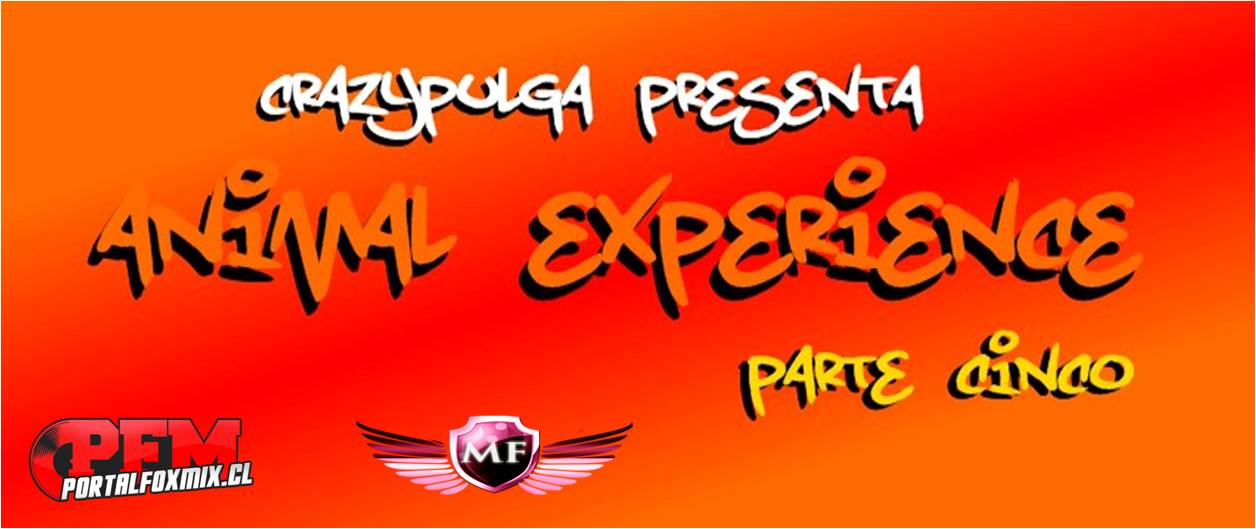 5322: Animal Experience Parte 05 – (2013)
