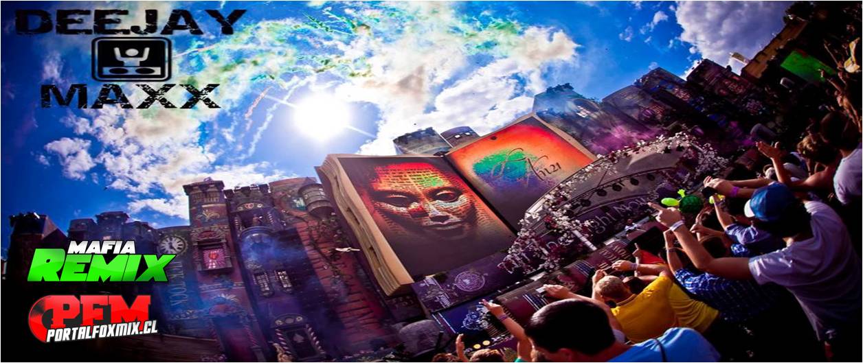 Tomorrowland 2013 – Top 15 Dj Maxx
