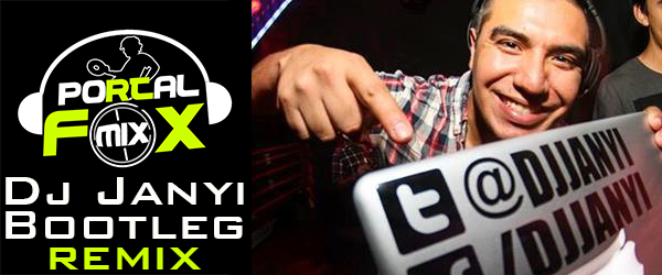 Dj Janyi – Bootleg – Remix 2013 (28 Remix Hits Exclusivos)