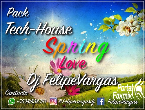 TECHOUSE FELIPEVARGASDJ